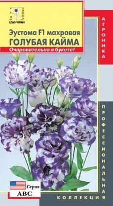 Цветы Эустома АВС Голубая кайма ЦВ/П (ПЛАЗМА)