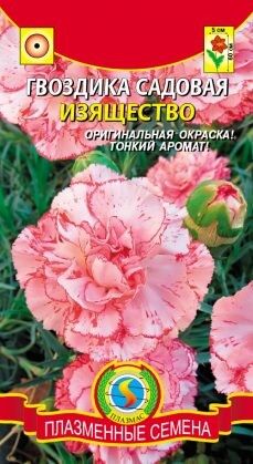 Цветы Гвоздика садовая Изящество ЦВ/П (ПЛАЗМА) однолетнее 60см