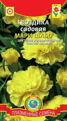 Цветы Гвоздика садовая Мари Шабо ЦВ/П (ПЛАЗМА) однолетнее 60см