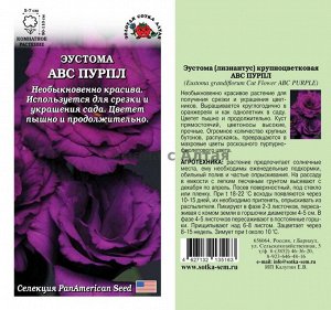 Цветы Эустома АВС Пурпл ЦВ/П (Сотка) высота 90см