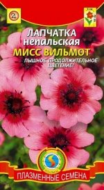 Цветы Лапчатка Мисс Вильмотт ЦВ/П (ПЛАЗМА) красная многолетник 50 см