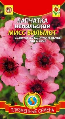 Цветы Лапчатка Мисс Вильмотт ЦВ/П (ПЛАЗМА) красная многолетнее 50 см