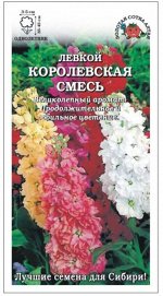 Цветы Левкой Королевская СМЕСЬ ЦВ/П (Сотка) однолетник 35-45см