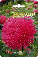 Цветы Астра Мерлин Розовый ЦВ/П (БИО) игольчатая однолетник 70-80см
