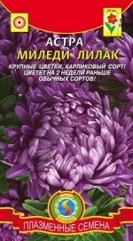 Цветы Астра Миледи Лилак ЦВ/П (ПЛАЗМА) густомахровая однолетник до 25см