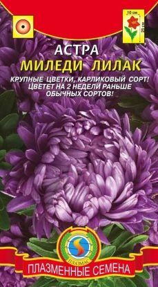 Цветы Астра Миледи Лилак ЦВ/П (ПЛАЗМА) густомахровая до 25см