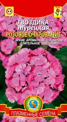 Цветы Гвоздика турецкая Розовое очарование ЦВ/П (ПЛАЗМА) двулетнее до 60см