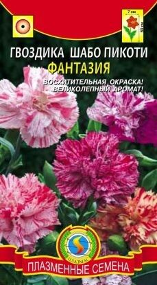 Цветы Гвоздика ШАБО пикоти Фантазия ЦВ/П (ПЛАЗМА) однолетнее 60см