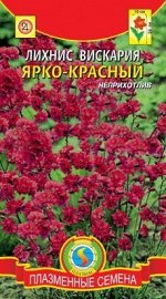 Цветы Лихнис вискария Ярко-красный ЦВ/П (ПЛАЗМА) многолетник 50см
