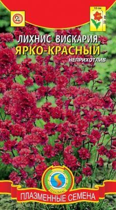 Цветы Лихнис вискария Ярко-красный ЦВ/П (ПЛАЗМА) многолетнее 50см