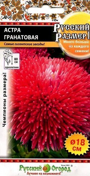 Цветы Астра Русский размер Гранатовая ЦВ/П (РУССКИЙ ОГОРОД) 0,2гр однолетник 80см