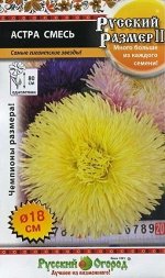 Цветы Астра Русский размер Смесь ЦВ/П (Русский Огород) 0,2гр однолетник 80см
