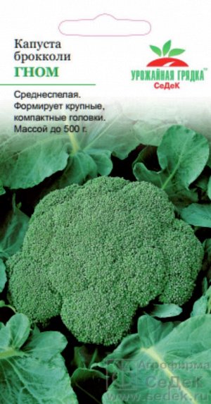 Капуста брокколи Гном ЦВ/П (СЕДЕК) 0,5гр среднеспелый