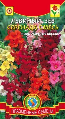 Цветы Львиный Зев Серенада СМЕСЬ ЦВ/П (ПЛАЗМА) однолетнее 45см