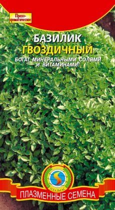 Пряность Базилик Гвоздичный ЦВ/П (ПЛАЗМА) РЭМ