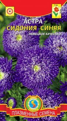 Цветы Астра Сидония Синяя ЦВ/П (ПЛАЗМА) принцесса 60-70см