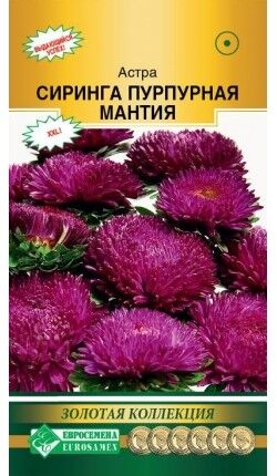 Цветы Астра Сиринга Пурпурная мантия ЦВ/П (ЕС) 0,1гр густомахровая 60-70см