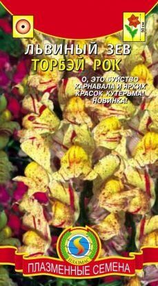 Цветы Львиный Зев Торбей рок ЦВ/П (ПЛАЗМА) однолетнее 50см
