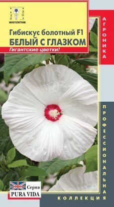 Цветы Гибискус Белый с глазком болотный F1 ЦВ/П (ПЛАЗМА) комнатное до 1м