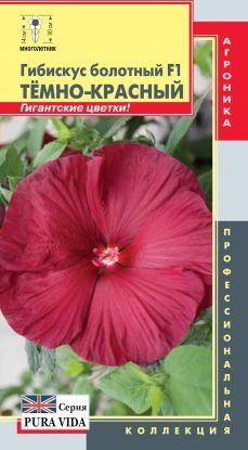 Цветы Гибискус Темно-красный болотный F1 ЦВ/П (ПЛАЗМА) комнатное до 1м