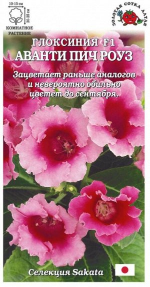 Цветы Глоксиния Аванти Пич Роуз ЦВ/П (Сотка) 5шт комнатное