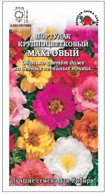 Цветы Портулак Махровая Смесь ЦВ/П (Сотка) 0,1гр крупноцветковый однолетник 10-20см