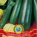 Кабачки, капуста, кукуруза