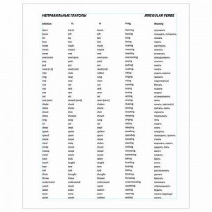 403562 Тетрадь-словарик А5 48 л. для записи англ. слов, клетка