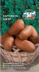 Картофель Ажур/Седек/цп