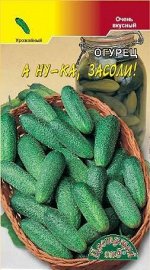 Огурец А ну-ка засоли/Цвет.сад/цп