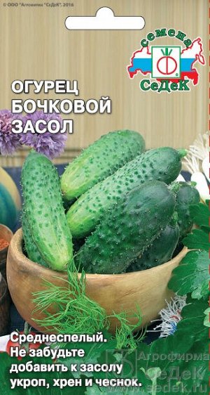 Огурец Бочковой Засол (0,5 г)  (ПО, ОГ, 11-13см, не желтеют, без пустот, лёжкий). Евро, 0,5г.  тип упаковки Евро