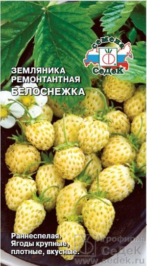 Ягода Белоснежка земляника /Седек/цп