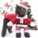 Новогодний комплект для питомцев до 6 кг