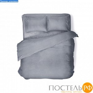 Комплект постельного белья Absolut Семейный Silver КПБ Absolut 3012 silver Д12 01 (Прямоугольная ПВХ)