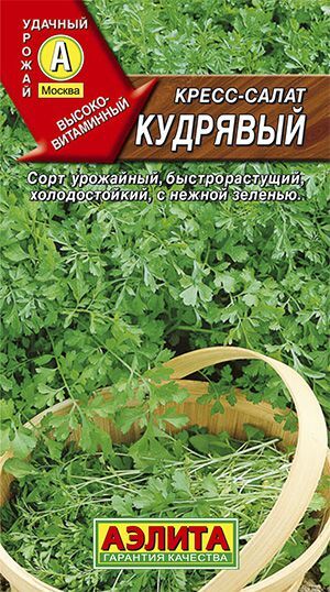 Кресс-салат Кудрявый