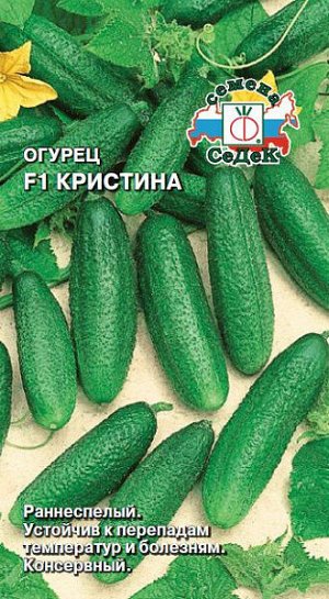 Огурец Кристина F1