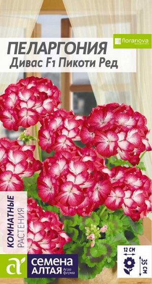 Пеларгония Дивас Пикоти Ред зональная/Сем Алт/цп 3 шт.