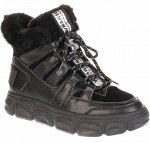 Оксфорд Madella XSP-W8229-2A-SW
