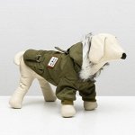 Куртка для собак с меховым капюшоном, XXL (ДС 40 см, ОШ 35 см, ОГ 55 см), зелёная
