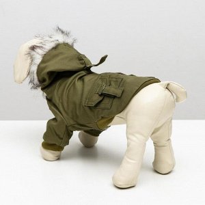 СИМА-ЛЕНД Куртка для собак с меховым капюшоном, XXL (ДС 40 см, ОШ 35 см, ОГ 55 см), зелёная