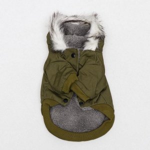 Куртка для собак с меховым капюшоном, M (ДС 25 см, ОШ 26 см, ОГ 37 см), зелёная