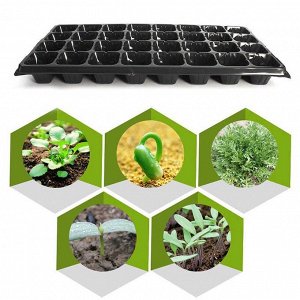 Рассадный Ящик 32 ячейки 1/180