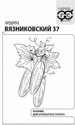 Огурец Вязниковский 37 0,5 г б/п с евроотв.