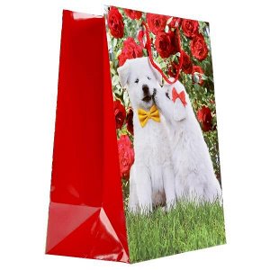CLRBG-DOGS2-03 Пакет подарочный глянцевый собаки, 33*46*20см в пак. Играем вместе уп-12шт в кор.6уп