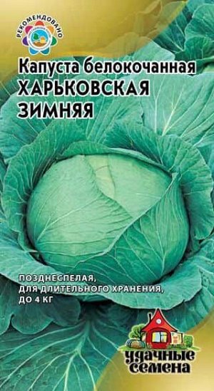 Капуста белокочанная Харьковская Зимняя