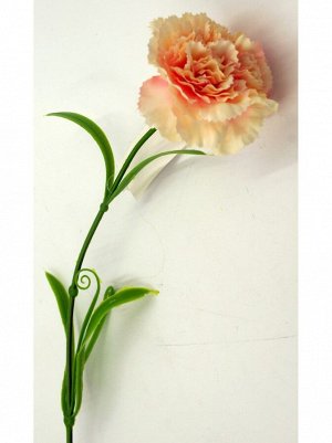 Гвоздика цвет персиковый 58см