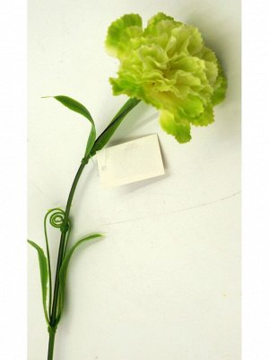 Гвоздика цвет салатовый 58см