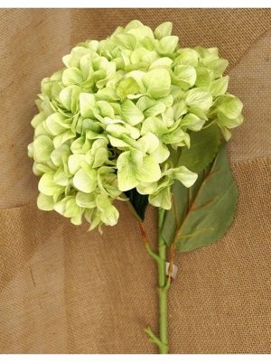Гортензия светло-зеленая цветок искусственный высота 110 см