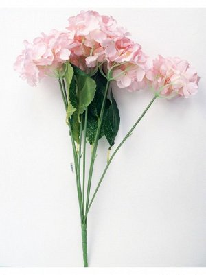 Гортензия 7 цветков розовая
