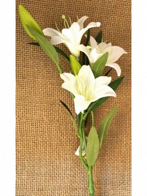 Лилия мелкая 3 цветка 58 см цвет белый